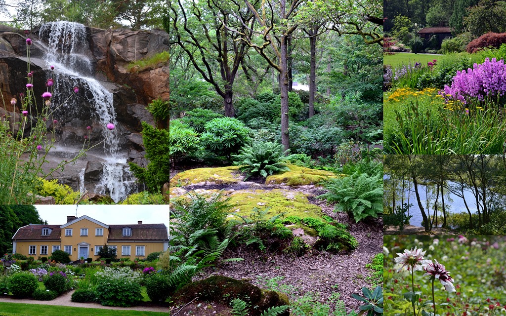 Gothenburg Botanical Garden/Nature Reserve